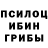 Псилоцибиновые грибы MAGIC MUSHROOMS Eliso Anamaria
