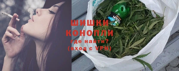мдпв Магас