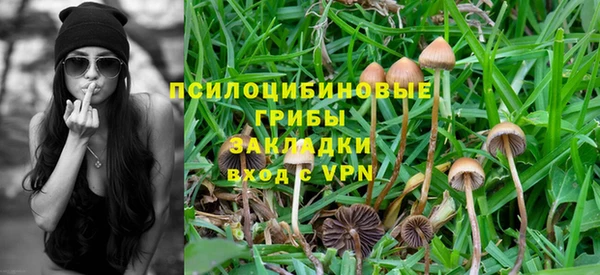 не бодяженный Беломорск
