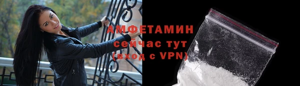 мдпв Магас