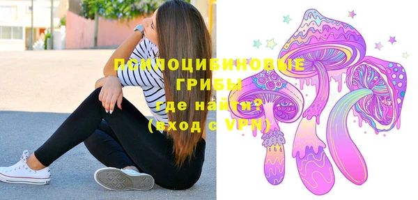 мдпв Магас
