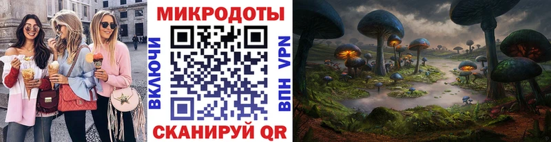 Галлюциногенные грибы Psilocybe  Вилюйск 